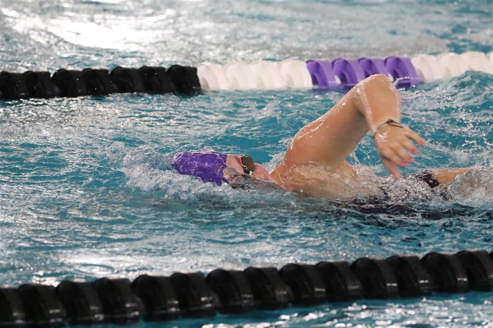  Girl Swimming the Freestyle in a pool