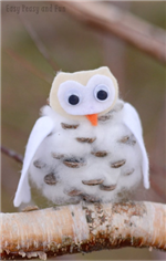 Owl Craft 