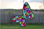 Butterfly Craft 